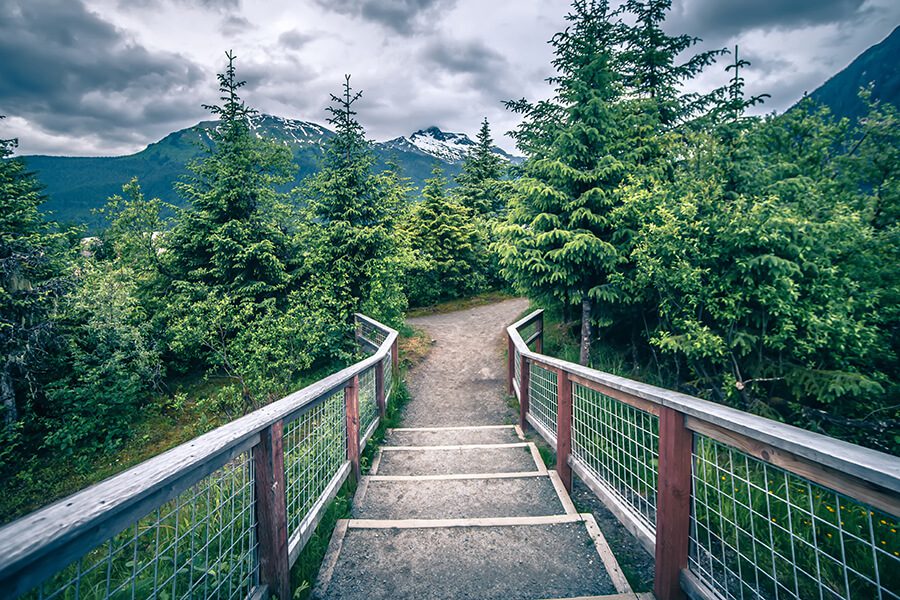 About Us - Mountain Path with Green Evergreen Trees and Mountains in Background